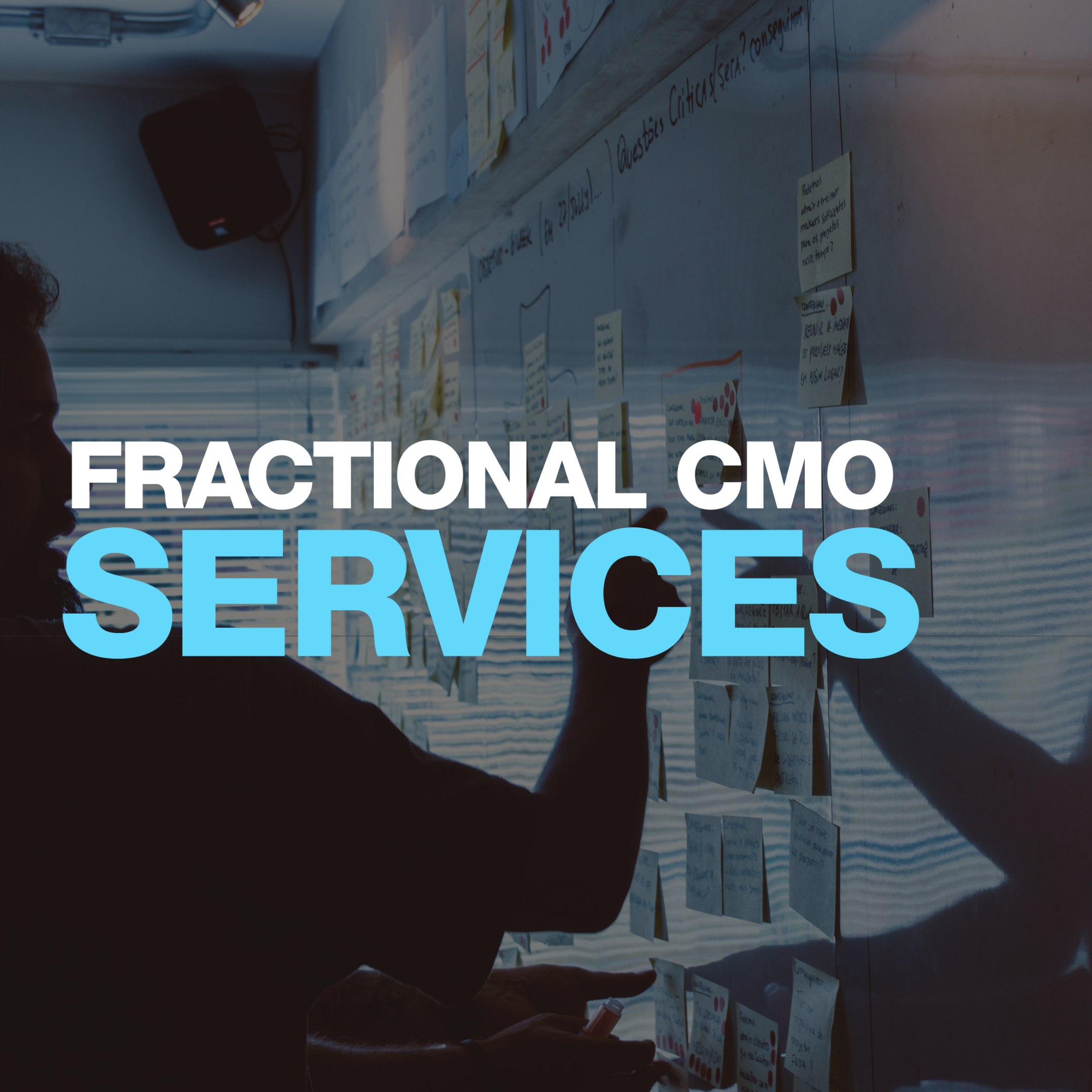 Fractional CMO Services